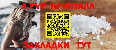 дмт Кингисепп